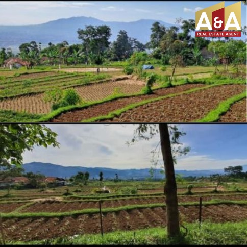 DIJUAL TANAH MURAH WILAYAH BANDUNG - Image 1