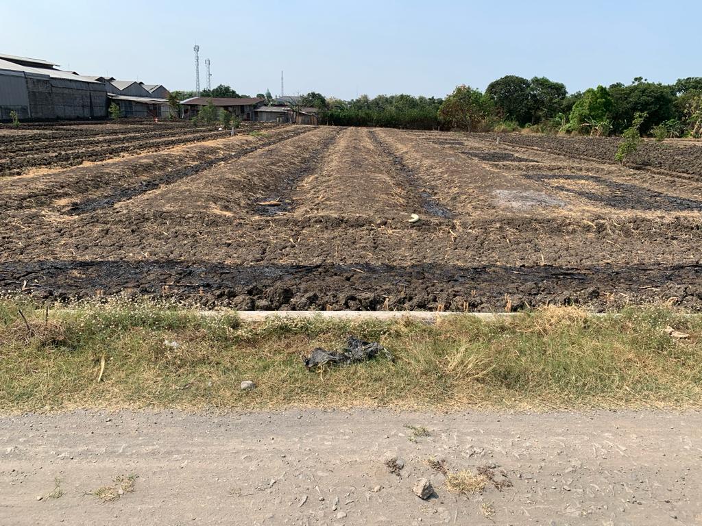 Dijual Tanah di Raya Domas Menganti - Image 1