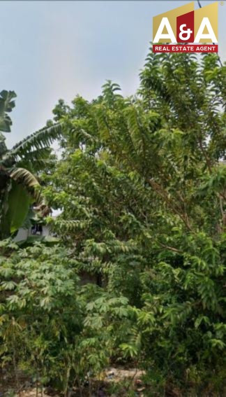 DIJUAL TANAH MURAH WILAYAH SEMARANG - Image 1