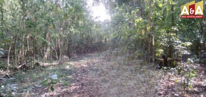 DIJUAL TANAH MURAH WILAYAH NUSA TENGGARA TIMUR - Image 1