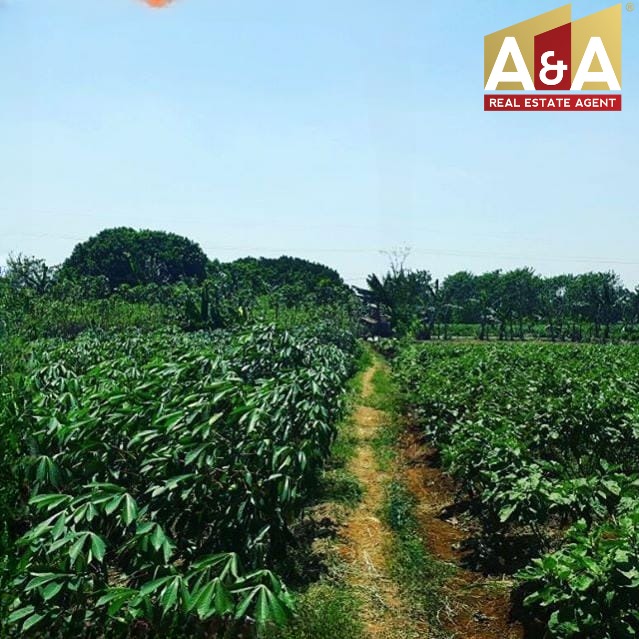 DIJUAL TANAH MURAH WILAYAH BOGOR - Image 1