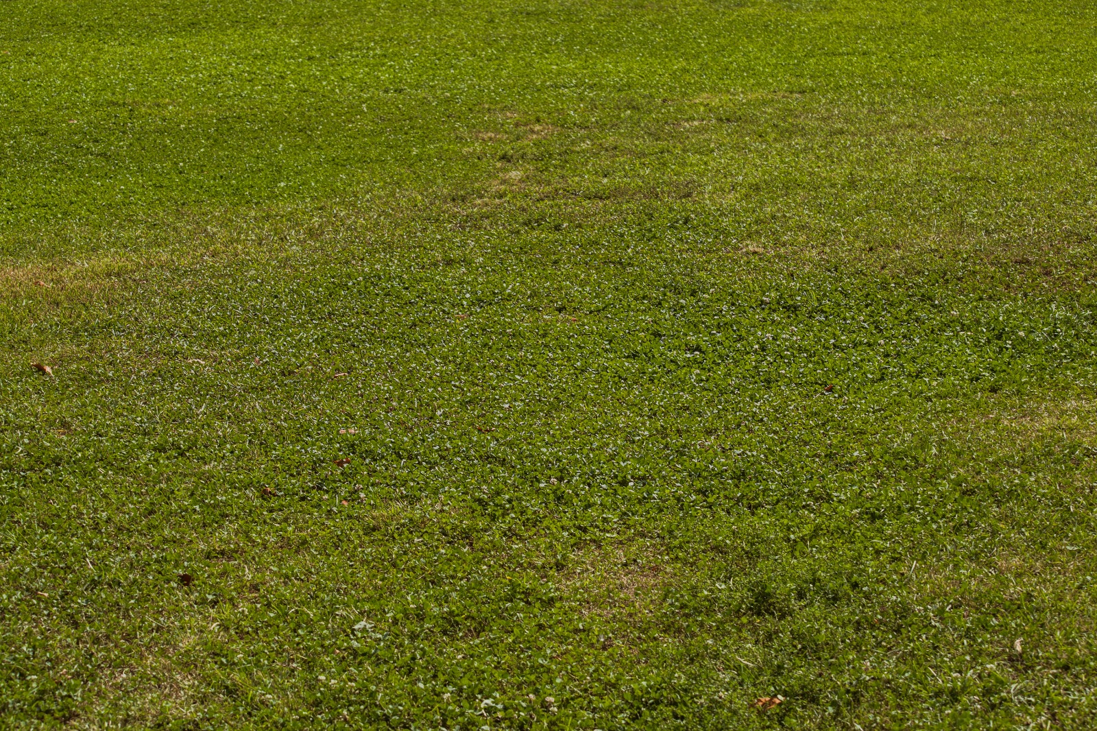 Dijual Tanah Wilayah Citraland di Surabaya Barat - Image 1