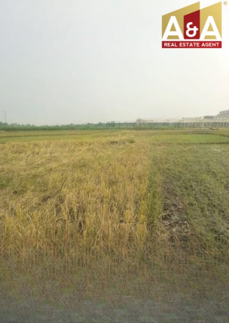 Dijual Tanah Murah Lokasi Strategis di Mojokerto - Image 1