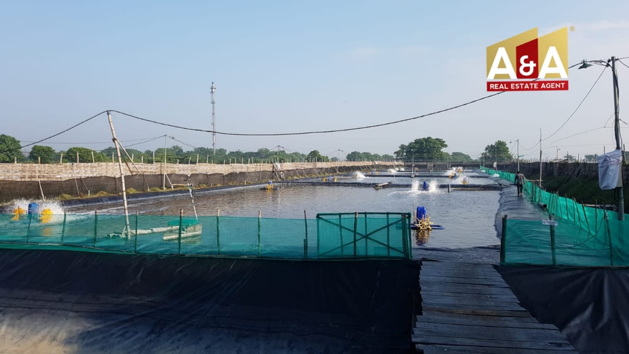 Dijual Tambak Udang di Porong Sidoarjo - Image 1
