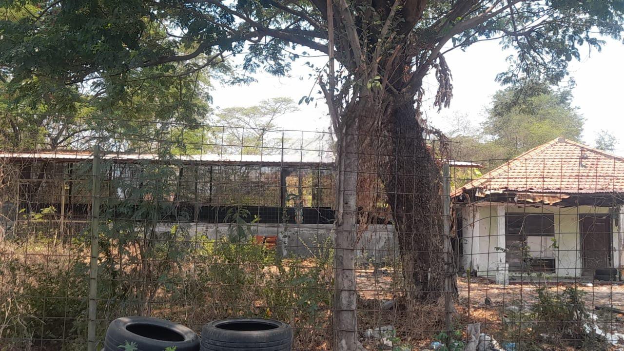 Dijual Murah Tanah Strategis di Wiyung Surabaya - Image 1