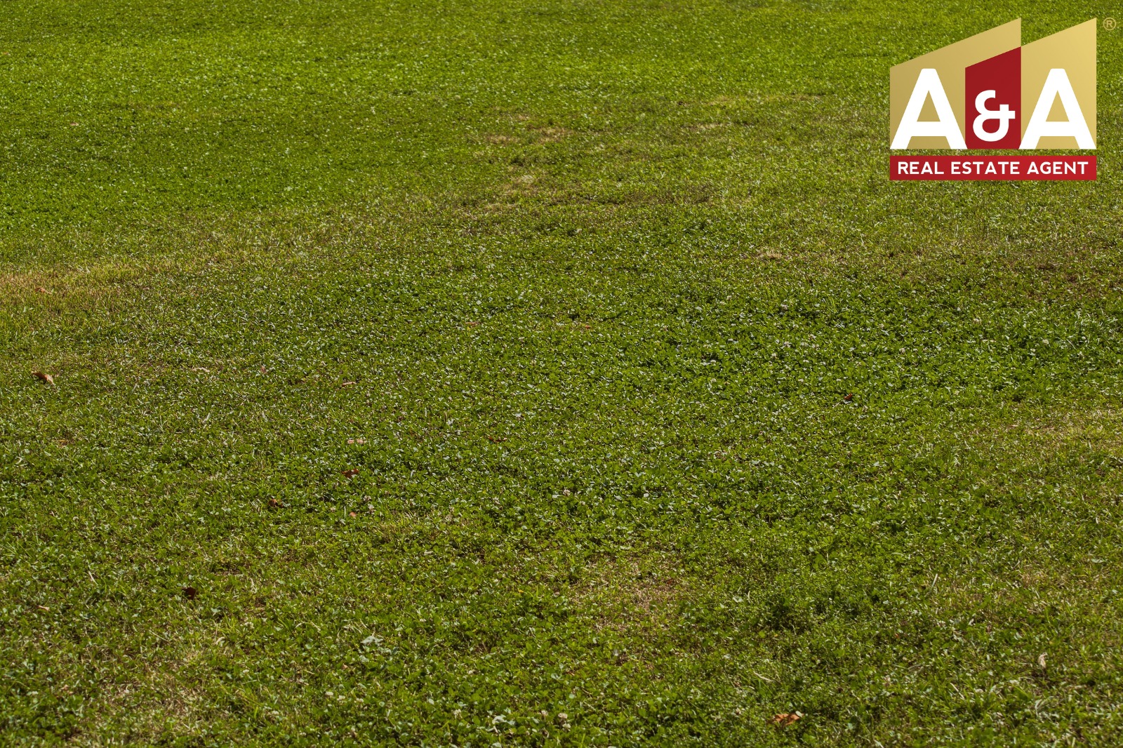 Dijual Tanah Wilayah Bogor - Image 1