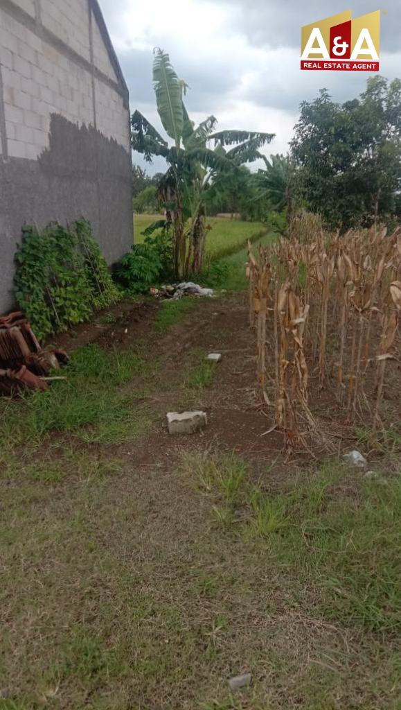 Dijual Tanah Dsn Strategis di Sidolemu Gresik - Image 1