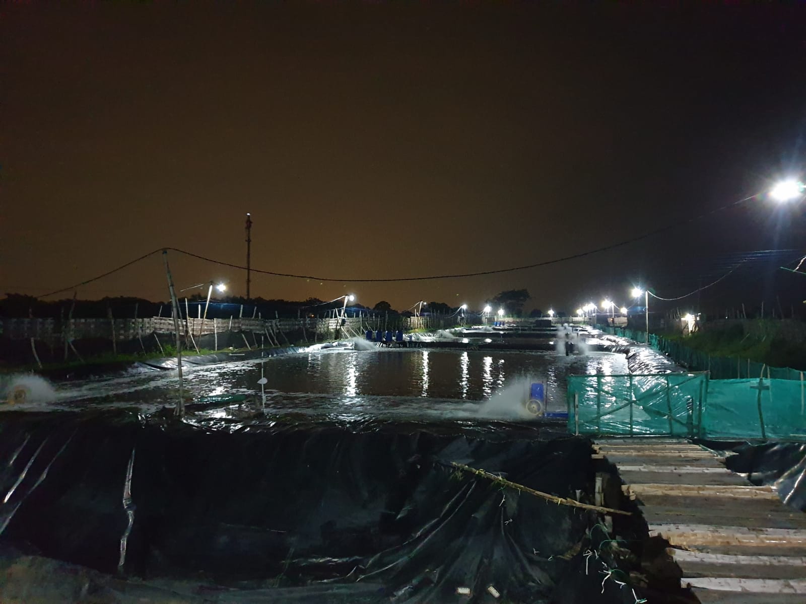 DIJUAL TAMBAK UDANG WILAYAH SIDOARJO - Thumbnail 3