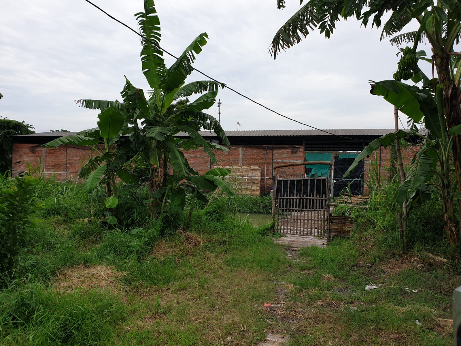 DIJUAL TAMBAK UDANG WILAYAH SIDOARJO - Thumbnail 4