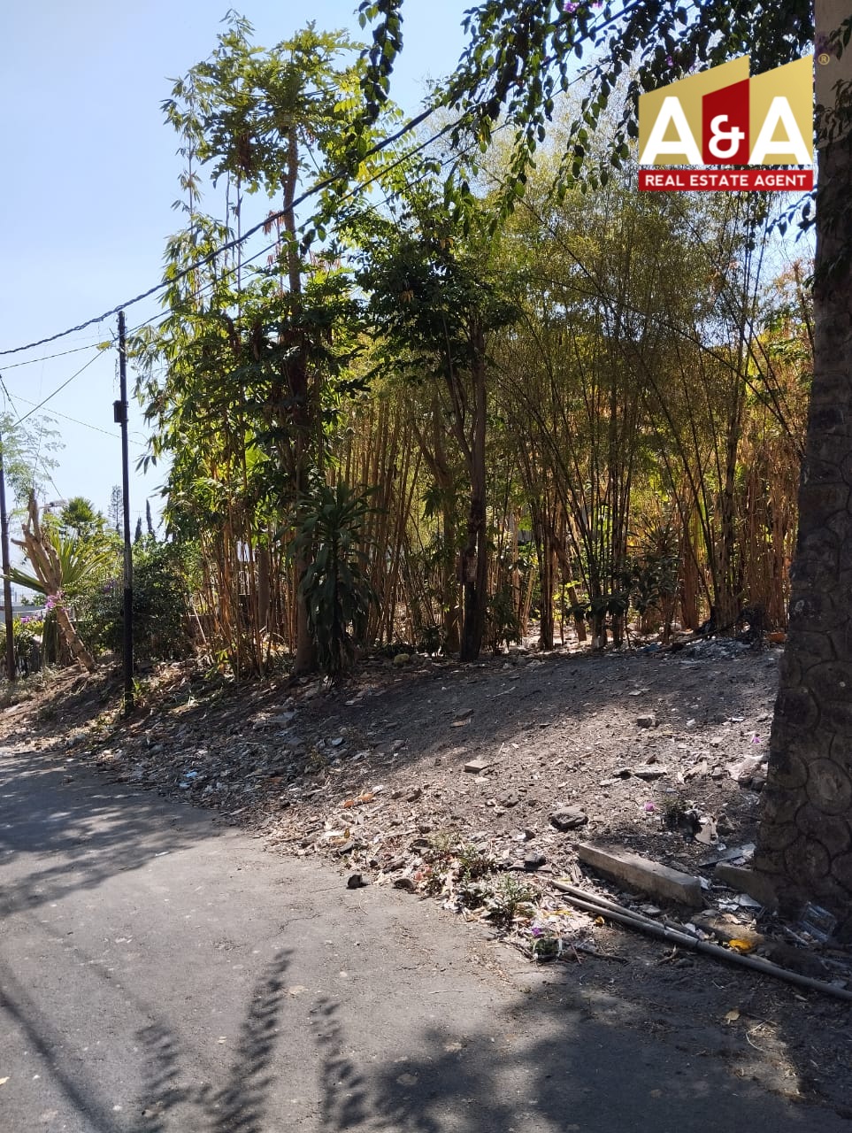 DIJUAL TANAH WILAYAH PASURUAN - Image 1