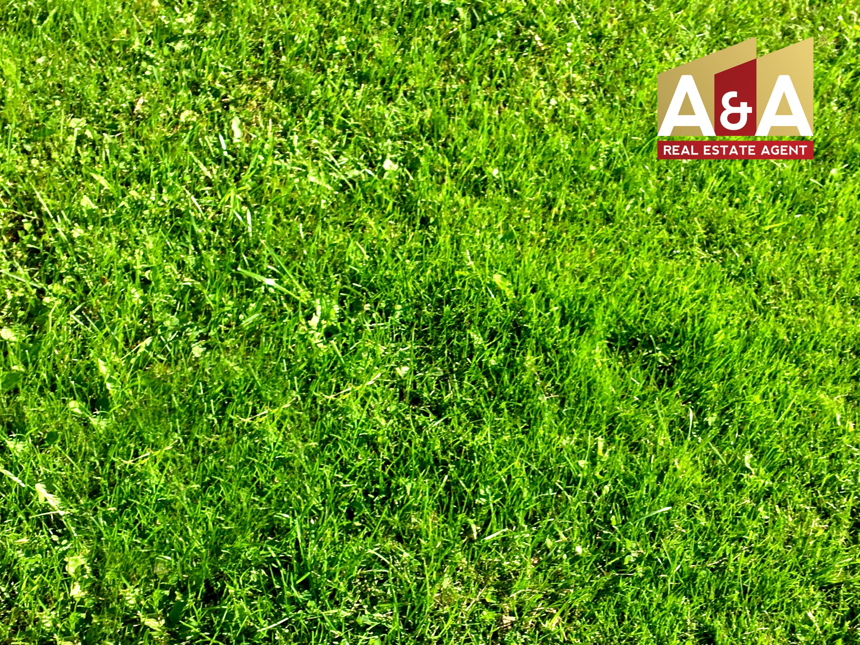 DIJUAL TANAH BANGUNAN BERBEK, SIDOARJO - Image 1