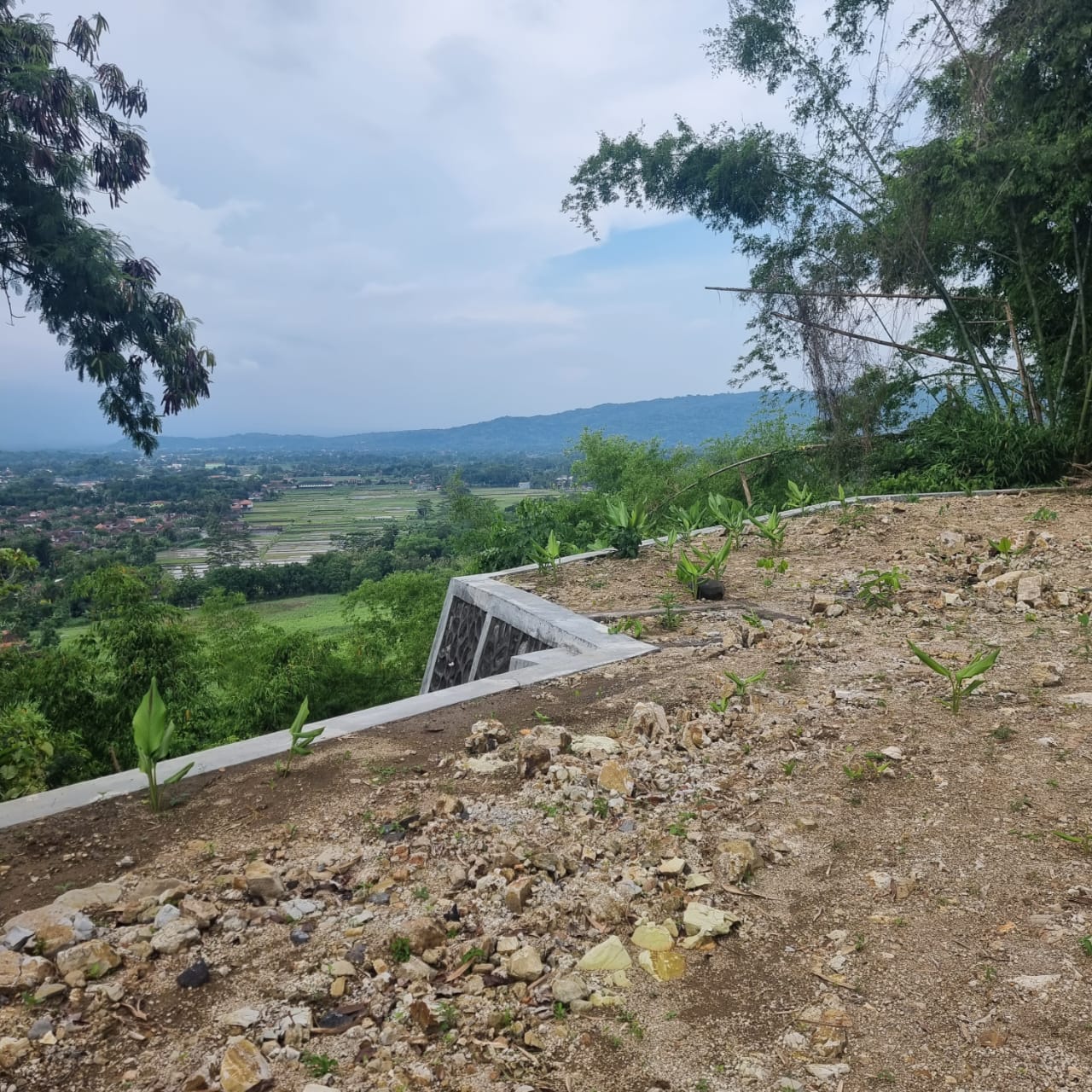 Dijual Tanah Wonosari Yogyakarta - Thumbnail 2