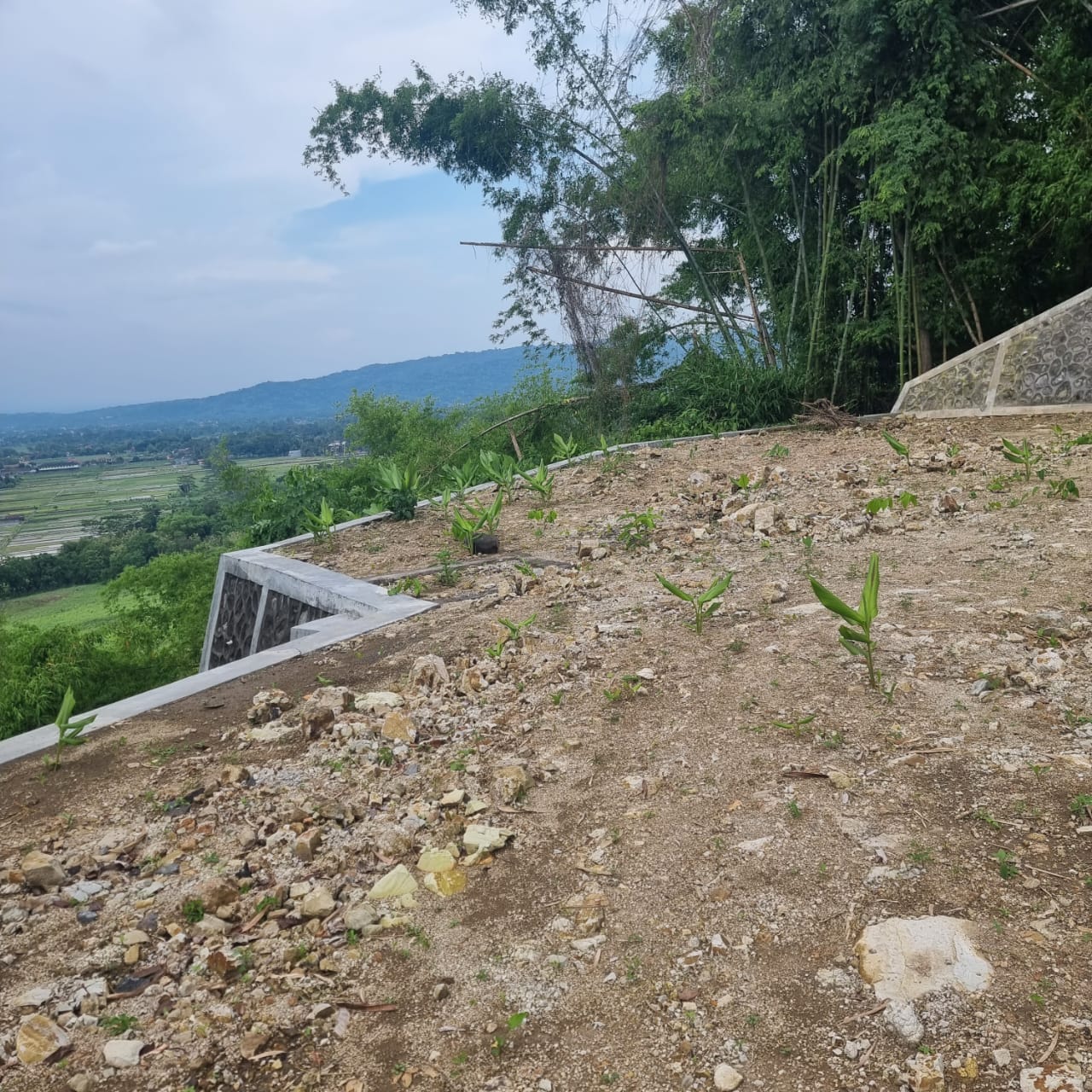 Dijual Tanah Wonosari Yogyakarta - Thumbnail 3