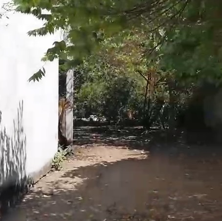 Dijual Rumah Hitung Tanah Raden Patah Wilayah Sidoarjo - Image 1