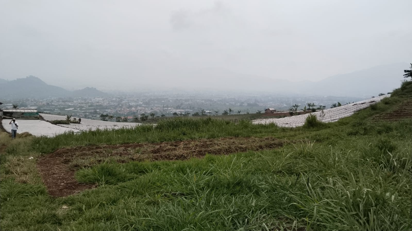 Dijual Tanah Wilayah Cianjur Jawa Barat - Thumbnail 2