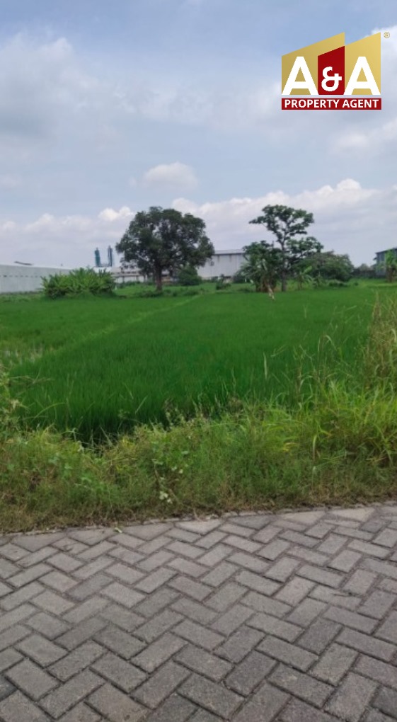 Dijual Tanah Raya Industri Sidoarjo - Image 1