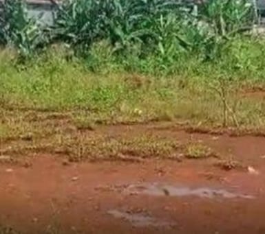 DIJUAL TANAH LOKASI SIDOARJO - Image 1