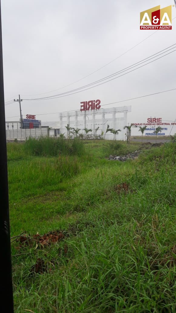Dijual Tanah Jl Provinsi Sidoarjo - Image 1