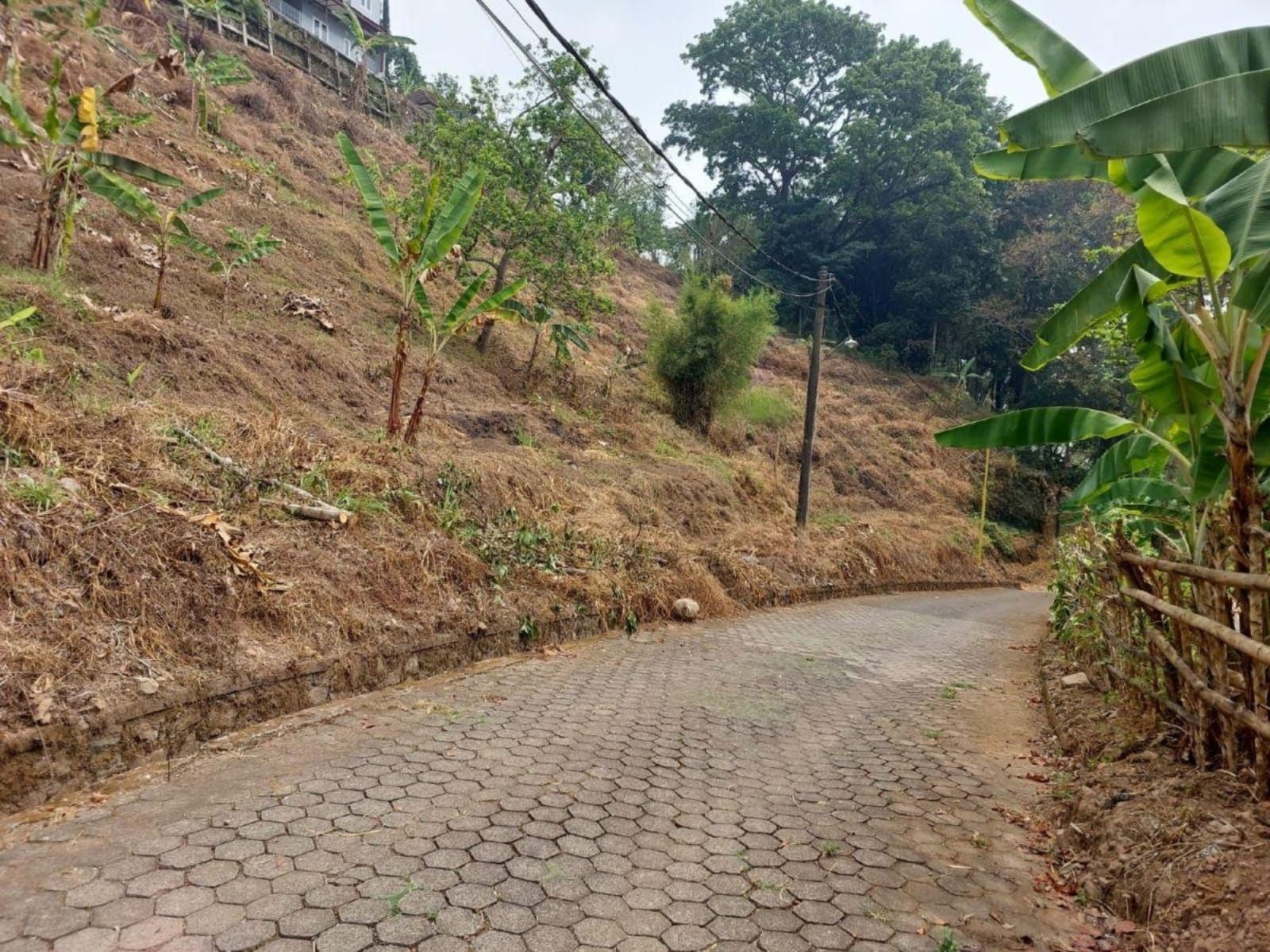 Dijual Murah Tanah Lokasi Strategis Sekuti Indah Pasuruan - Thumbnail 2