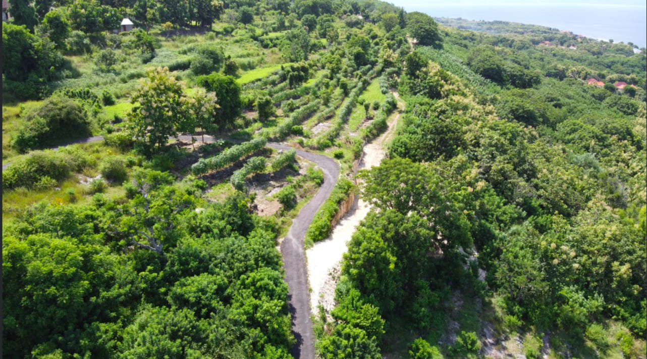 Dijual Tanah Wilayah Nusa Penida Bali - Thumbnail 2