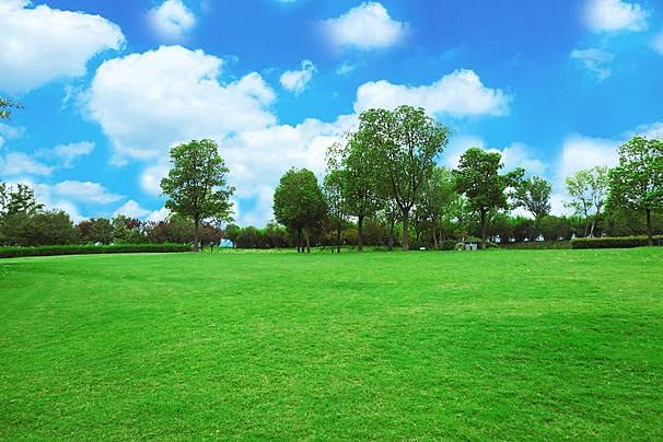 Tanah Dijual Lokasi Strategis Jenggolo Sidoarjo - Image 1