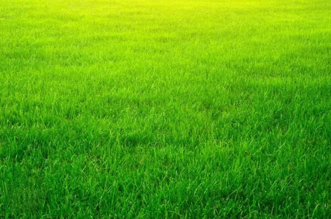 Dijual Kavling Jalan Raya Jemursari - Image 1