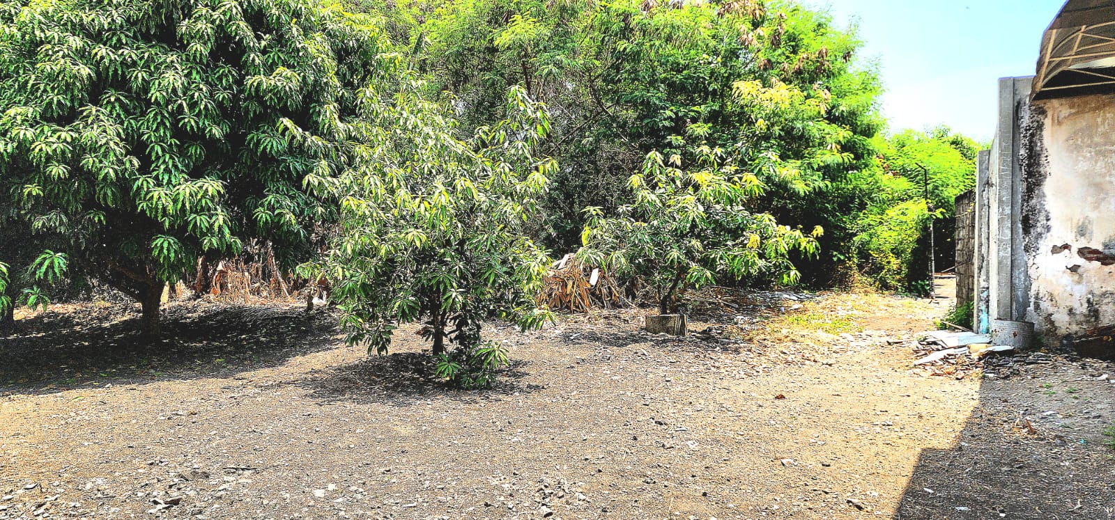 Dijual Bangunan Hitung Tanah Strategis Wilayah Raya Ahmad Yani Gedangan Sidoarjo - Thumbnail 2