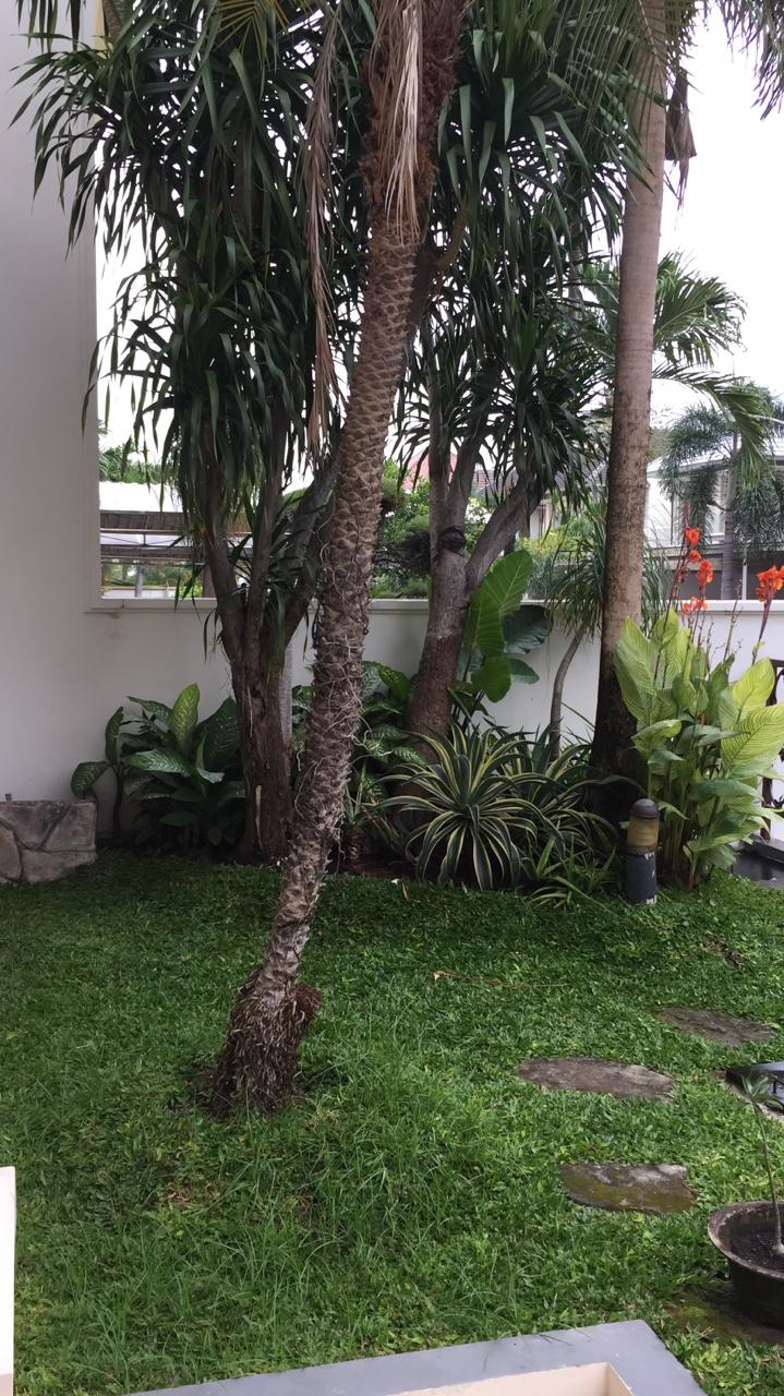 Dijual/Disewakan Rumah Mewah di Villa Sentra Raya A Citraland Surabaya Barat - Thumbnail 3