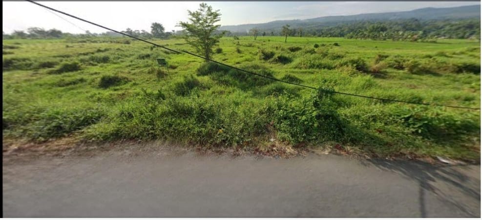 Jual rugi Tanah Purwodadi, cocok utk investasi - Image 1