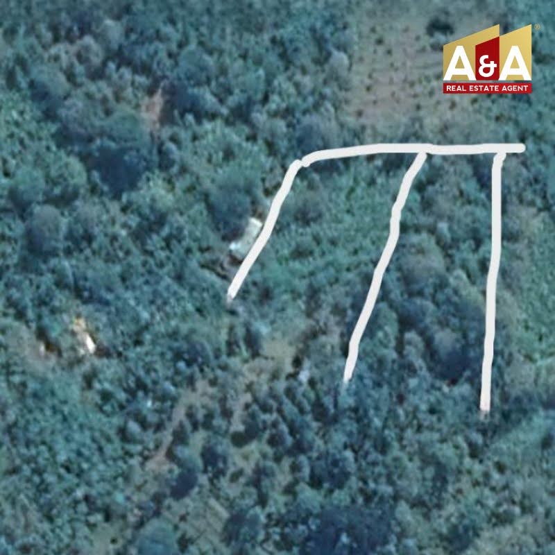 Dijual Tanah Kebun Siap Panen Lokasi Strategis Wonosalam Jombang - Image 1