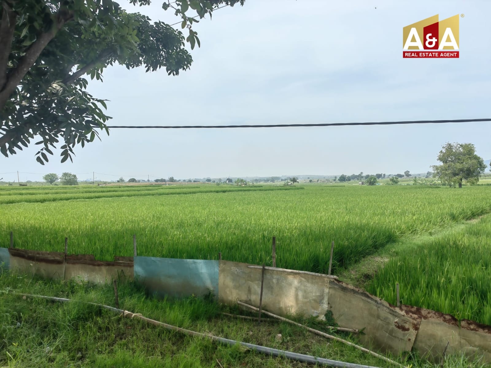 Dijual Tanah Pekarangan Di widang Tuban - Image 1