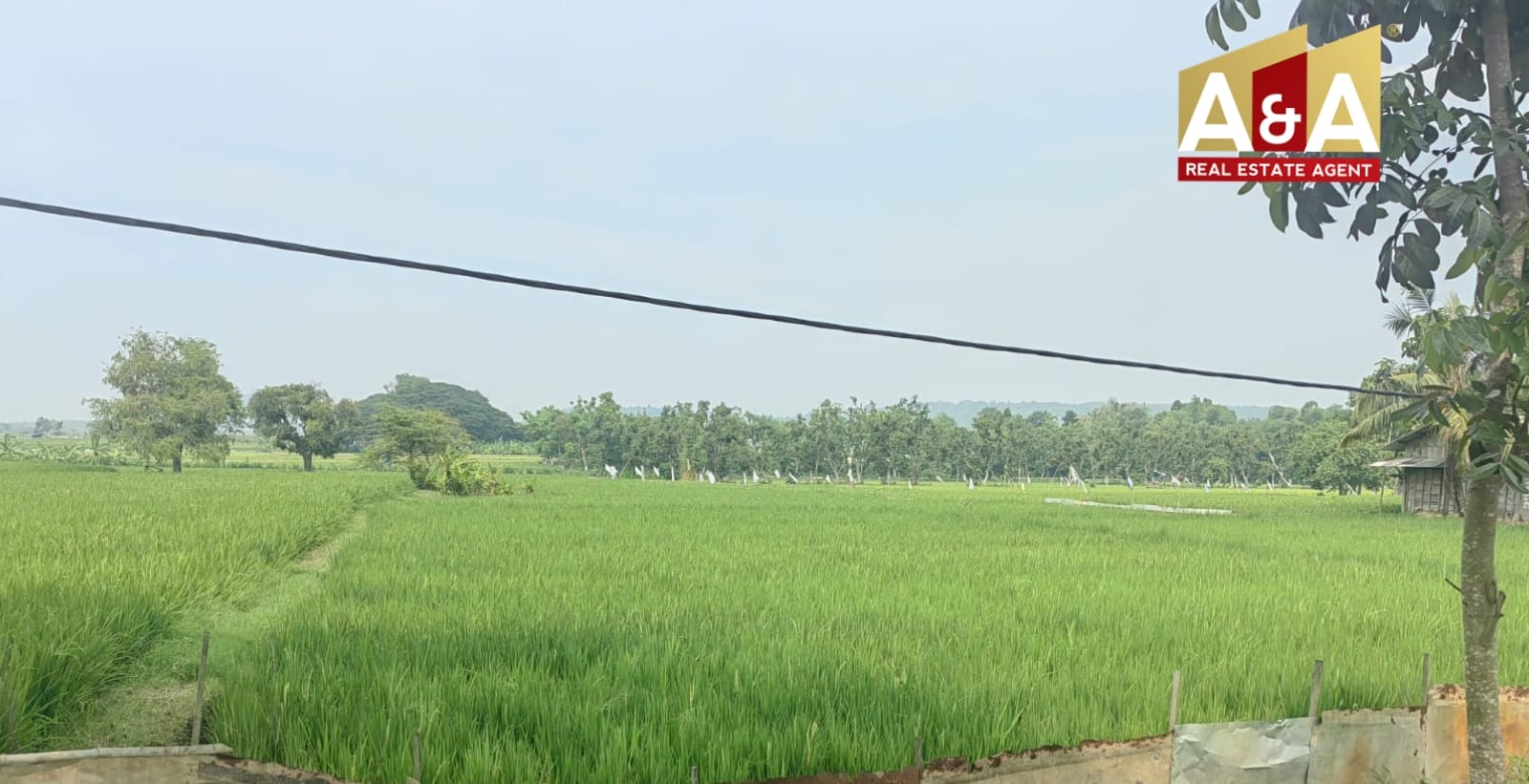 Dijual Tanah Pertanian Di Widang Tuban - Image 1