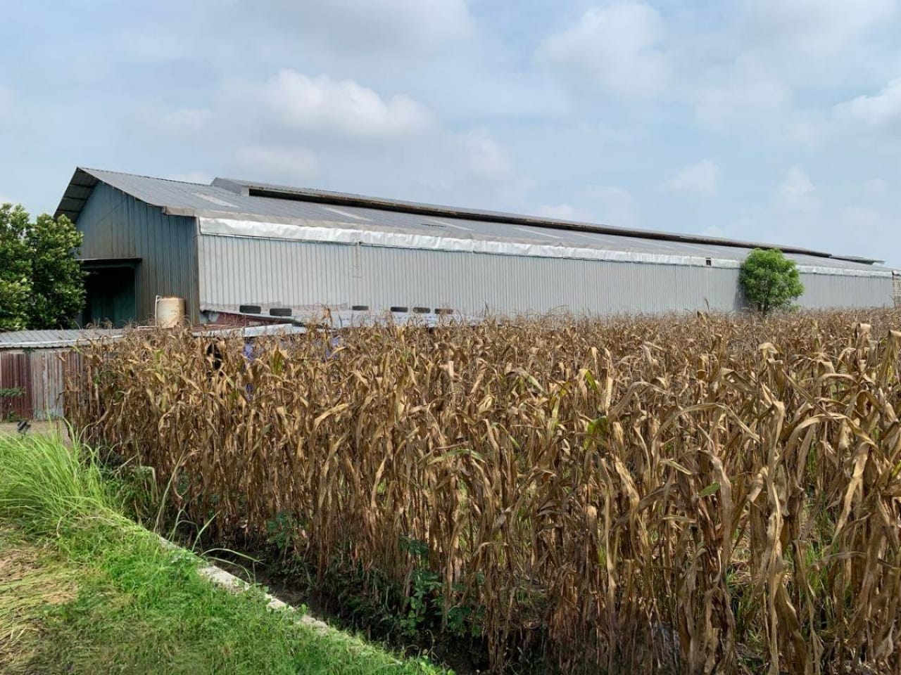 Dijual Gudang Lokasi Strategis di Raya Domas Gresik - Thumbnail 3