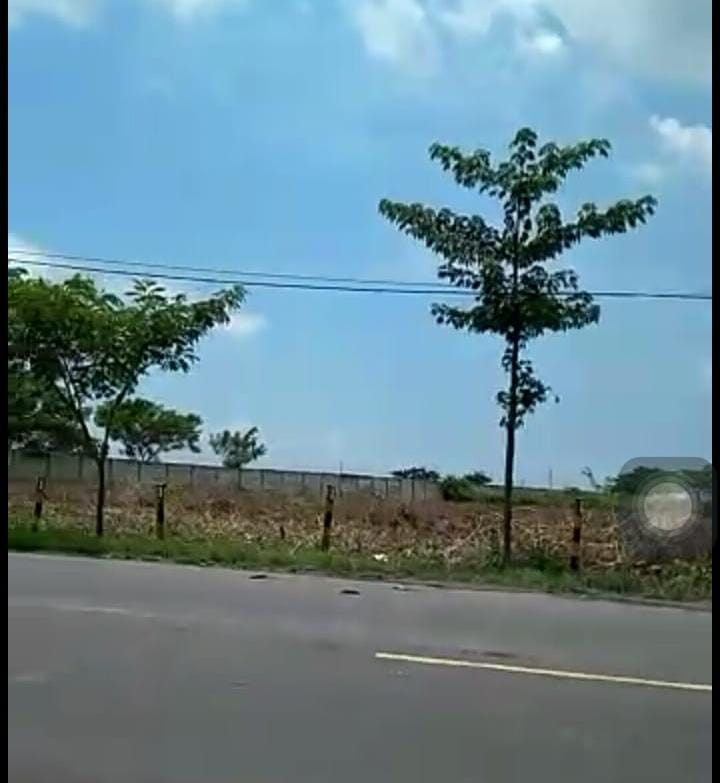 Dijual Tanah Strategis Jl Nasional Tuban - Thumbnail 3