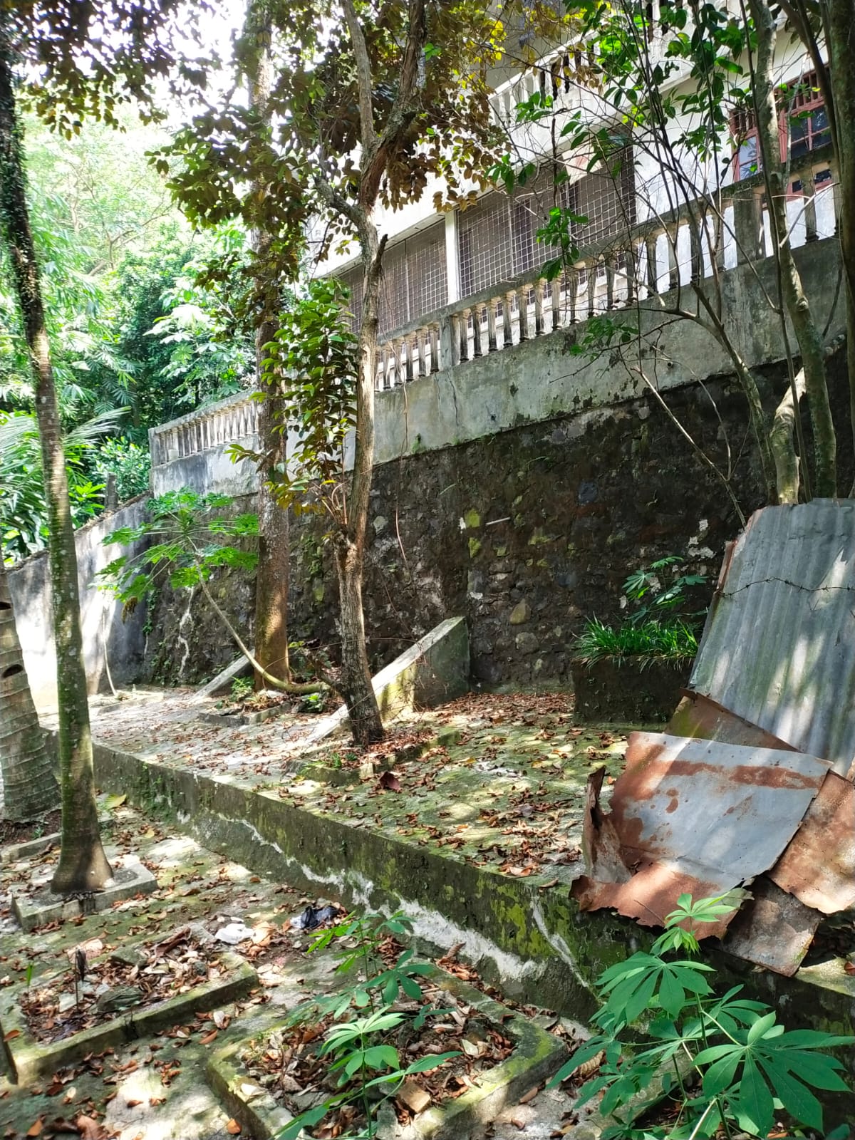 Dijual Rumah Mewah Jl Muara Jakarta Selatan - Thumbnail 3