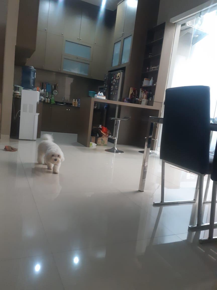 Dijual Rumah Mewah Lokasi Strategis di Wilayah Citraland Surabaya Barat - Thumbnail 2