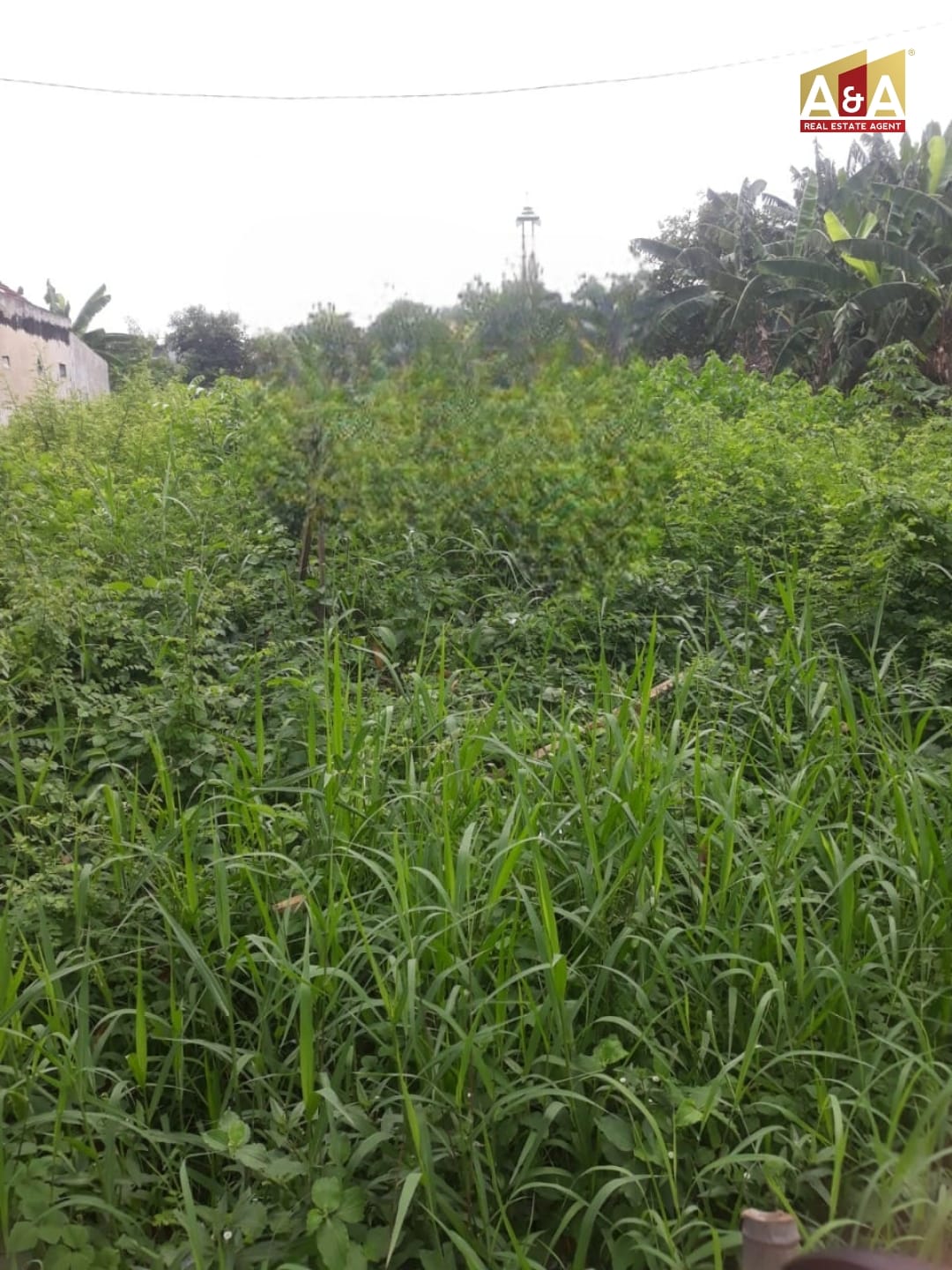 SBY Barat Raya Menganti Jeruk - Image 1