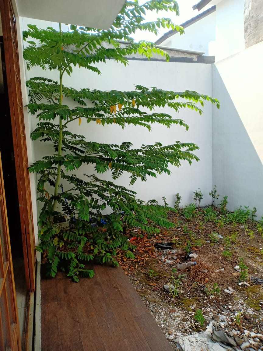 Dijual Rumah Minimalis Modern Wilayah Sidoarjo - Thumbnail 2