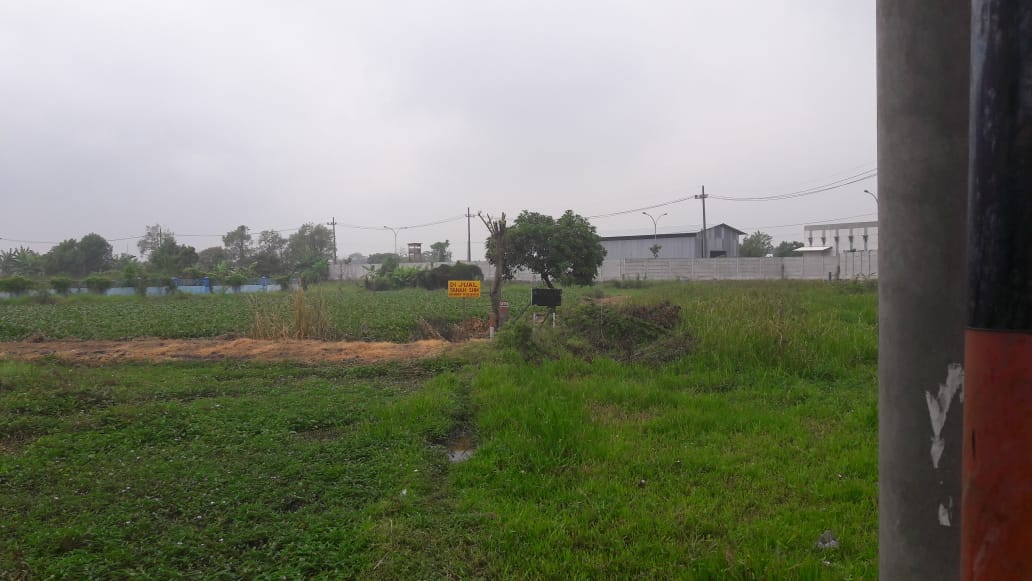 Tanah Luas Investasi Masa Depan - Image 1