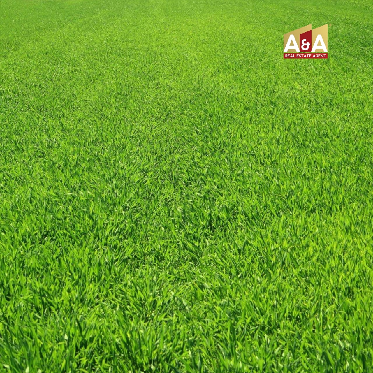 Dijual Tanah Sangat strategis Raya Ahmad Yani Gedangan, SDA - Image 1