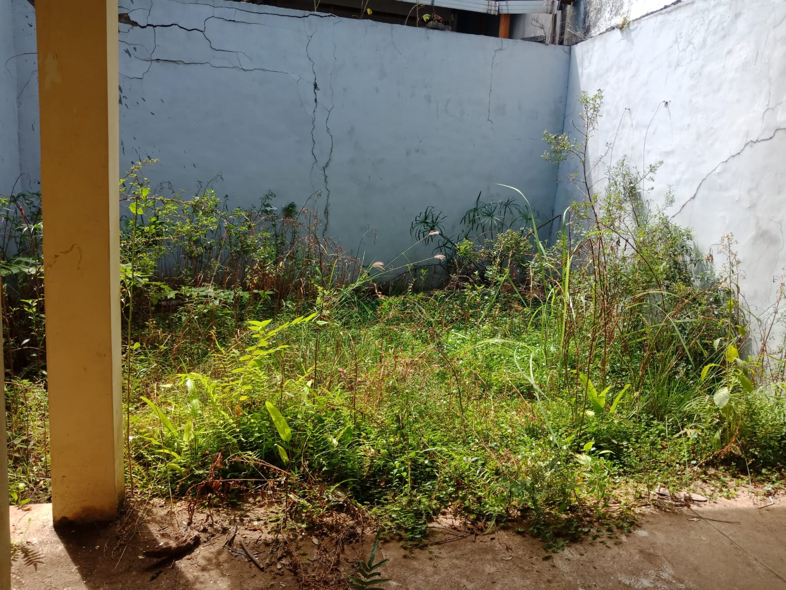 Dijual Rumah Murah Siap Huni Strategis Tambak Medokan Ayu Wilayah Surabaya Timur - Thumbnail 3