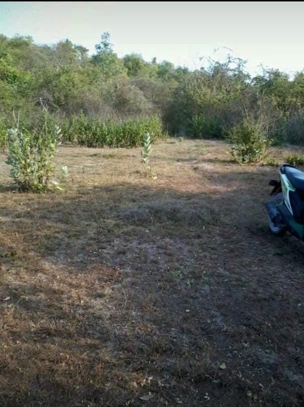 Dijual Tanah Strategis Dengok Wilayah Lamongan - Image 1