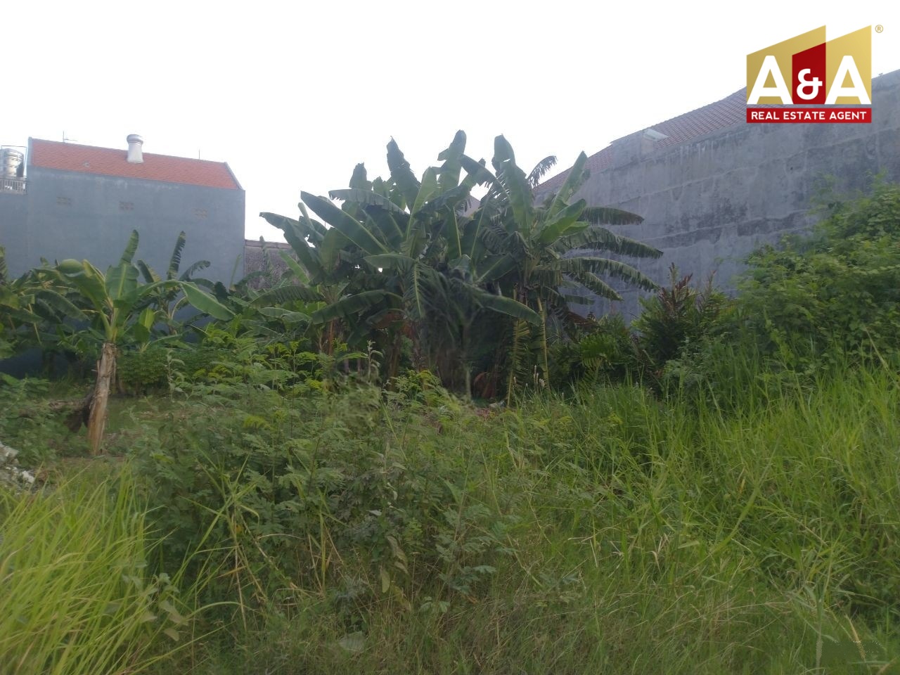 Dijual Cepat Tanah Klampis Semolo Surabaya Timur - Image 1