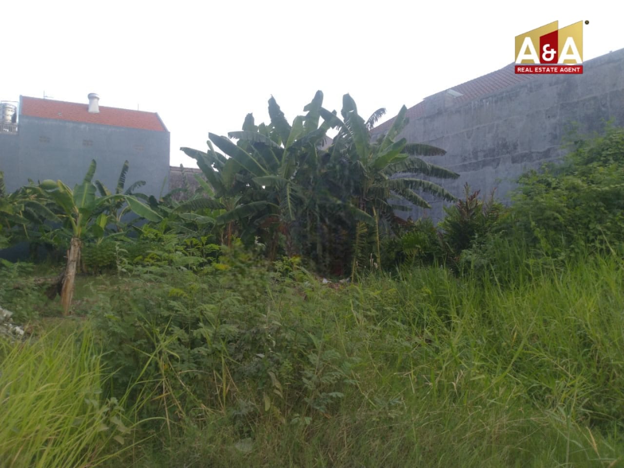 Dijual Tanah Strategis di Klampis Semolo Barat Surabaya Timur - Image 1