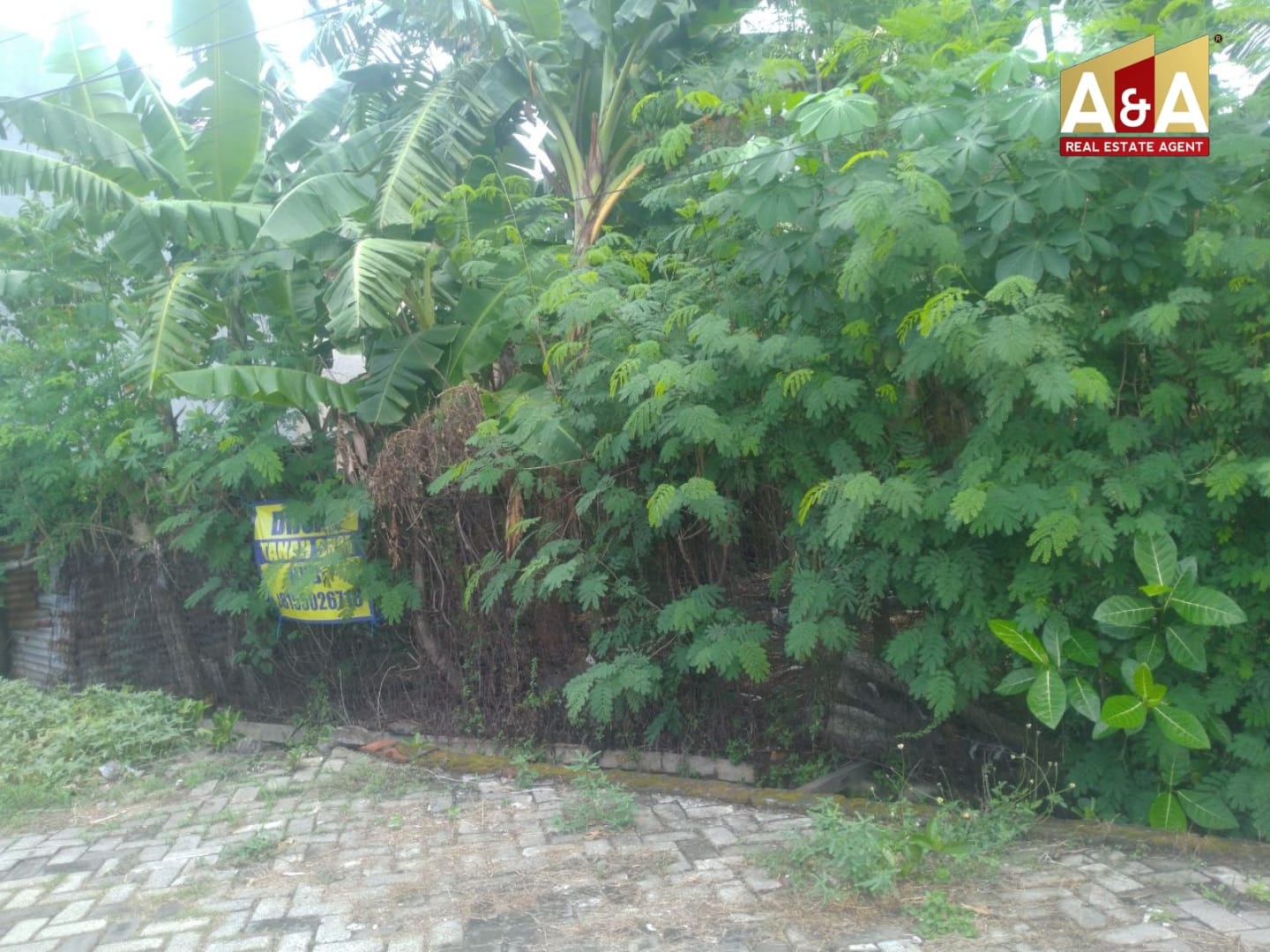 Dijual Tanah Strategis Kertomenanggal SBY Selatan - Image 1