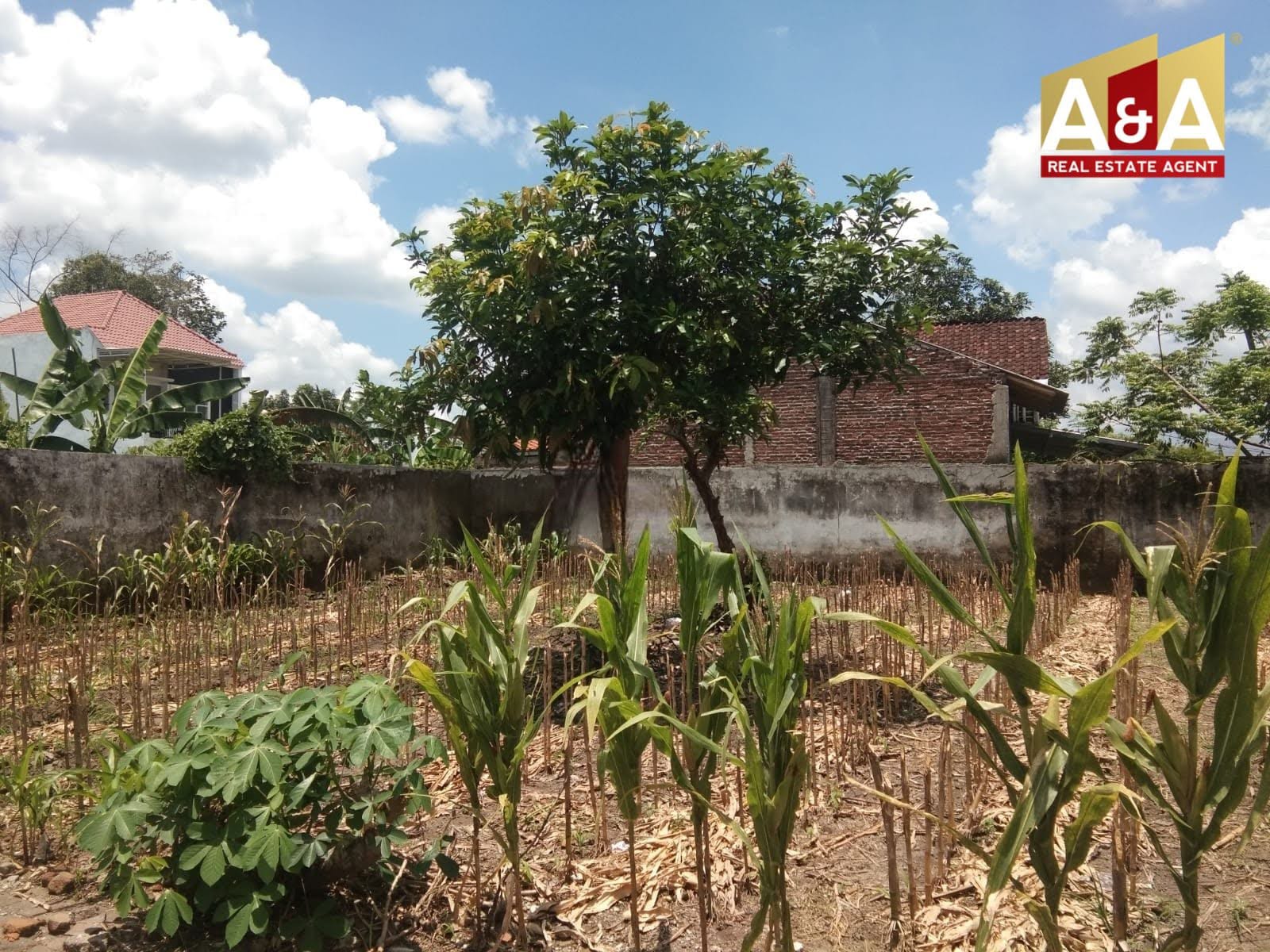 Dijual Cepat Tanah Strategis di Jalan Tondano Sumbersari Jember - Image 1