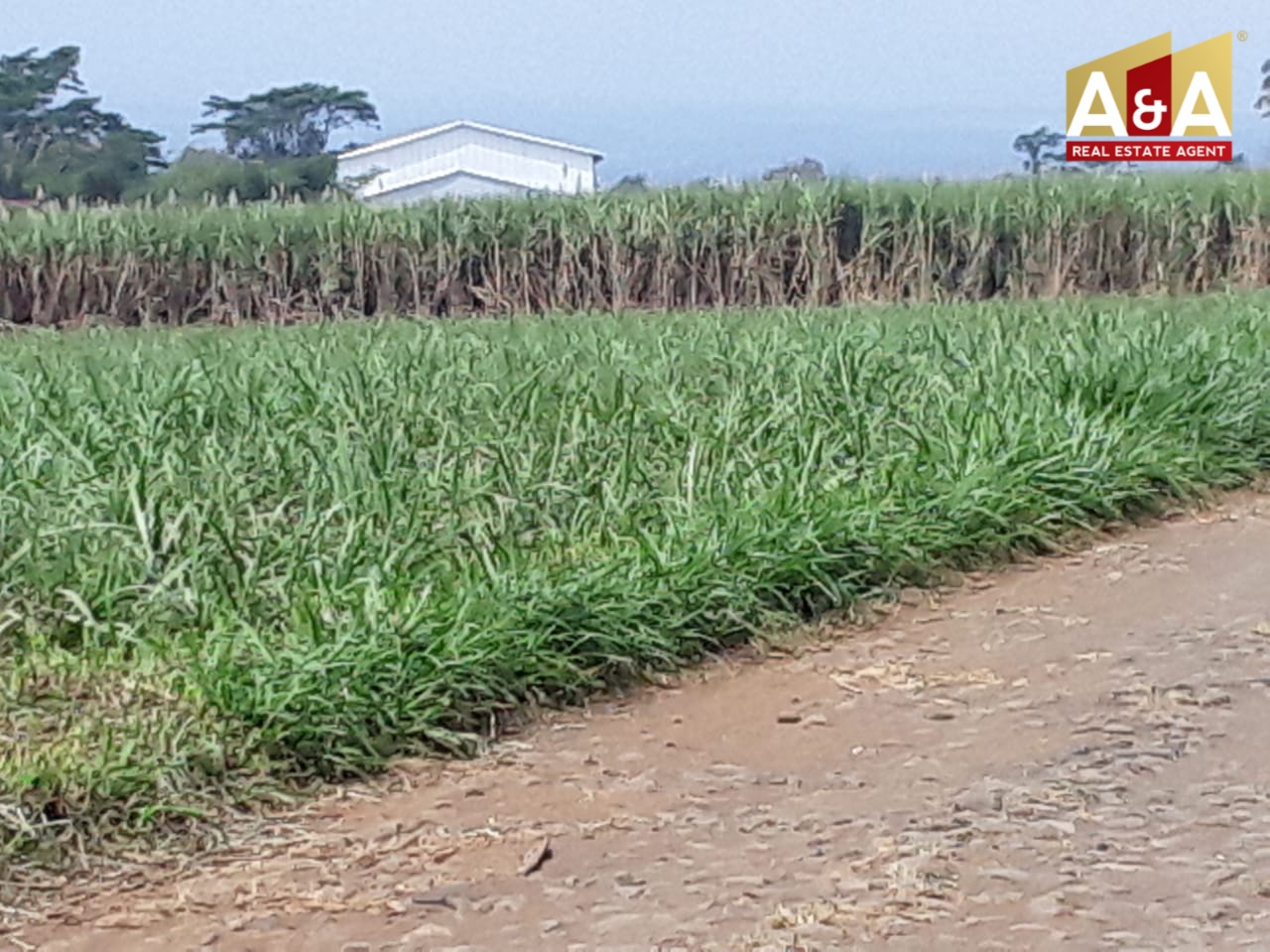 Dijual Tanah Strategis Jabung Malang - Image 1