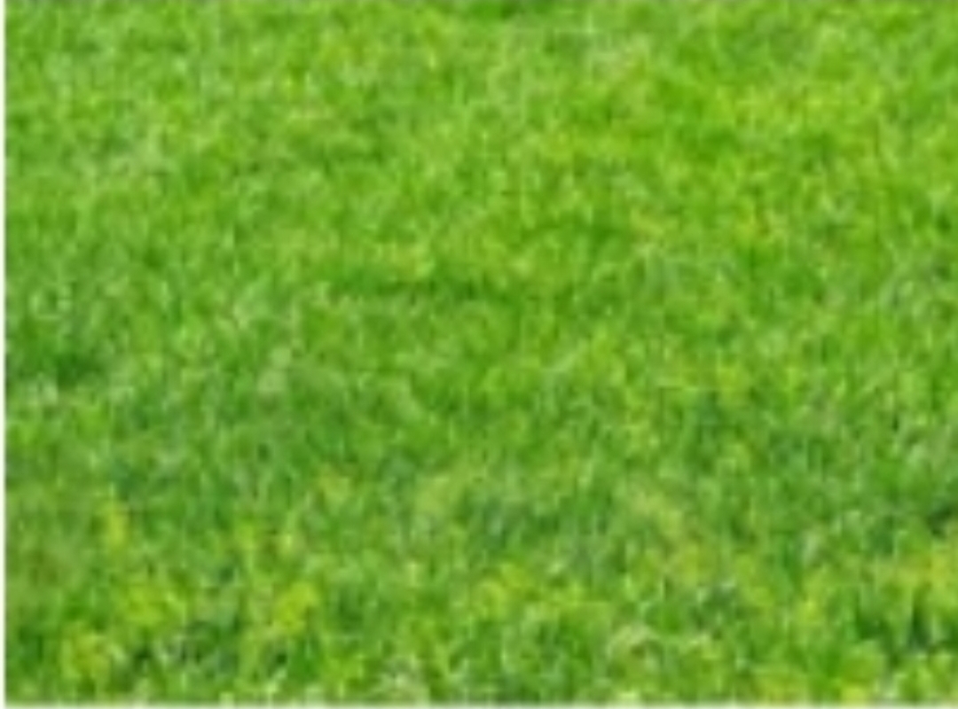 Dijual Tanah di Somerset Citraland Surabaya Barat - Image 1