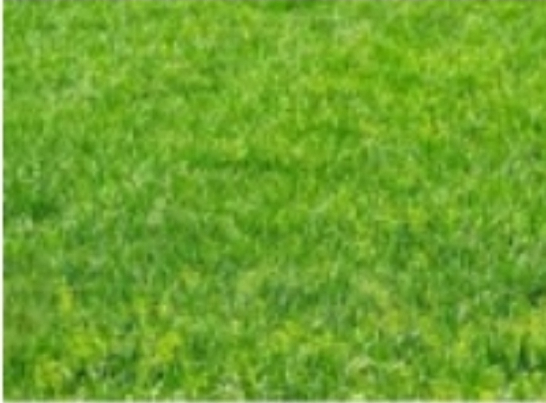 Dijual Kavling di Bukit Telaga Golf Citraland Surabaya Barat - Image 1