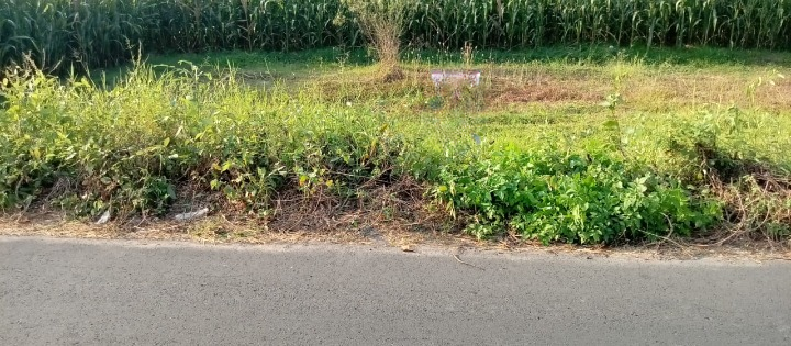 Dijual Tanah Strategis di Wilayah Mojokerto - Thumbnail 3